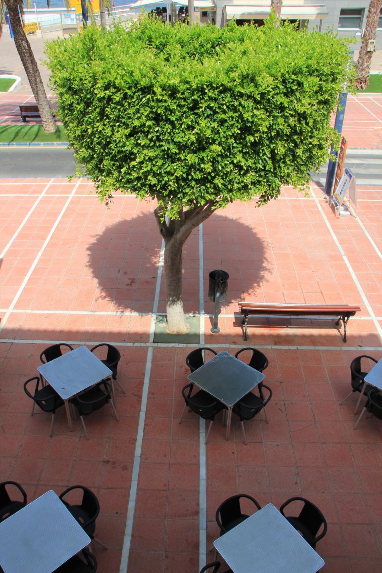 Hotel El Marino Santiago De La Ribera Δωμάτιο φωτογραφία